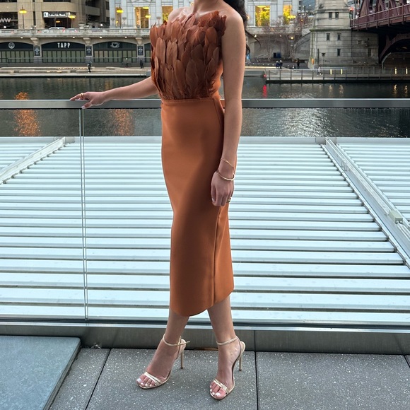 Feather Formal Dress. - Picture 2 of 2